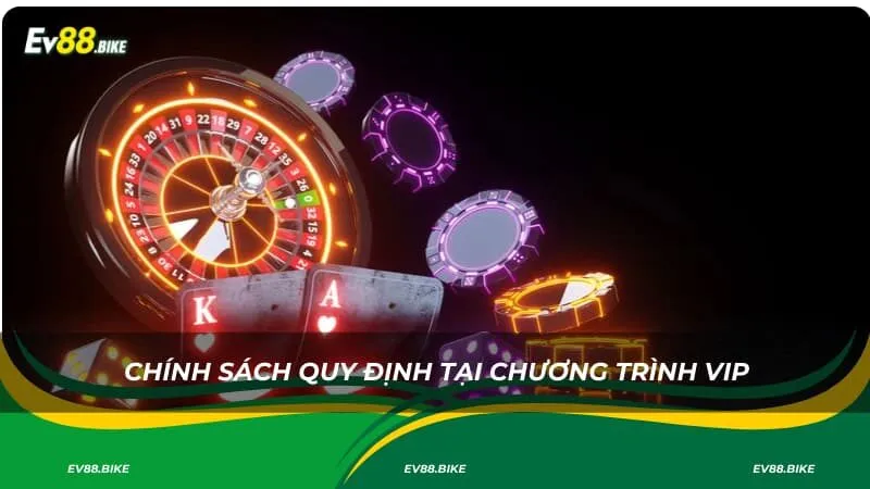 Chính sách quy định tại chương trình VIP
