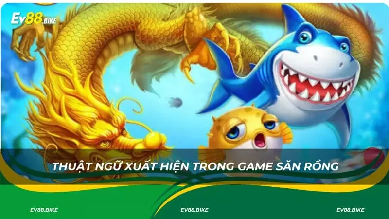 Thuật ngữ xuất hiện trong game săn rồng