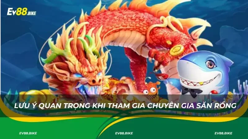 Lưu ý quan trọng khi tham gia chuyên gia săn rồng