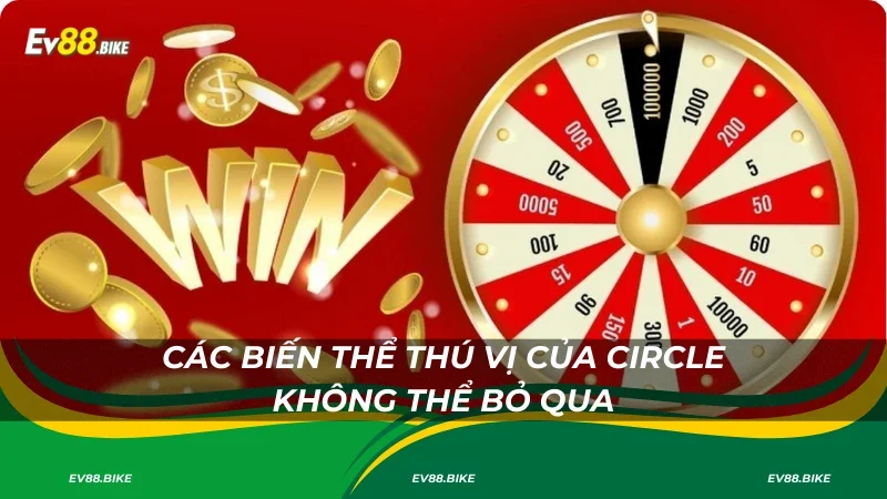 Các biến thể thú vị của Circle không thể bỏ qua
