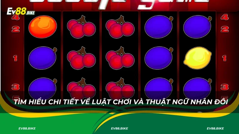 Tìm hiểu chi tiết về luật chơi và thuật ngữ nhân đôi
