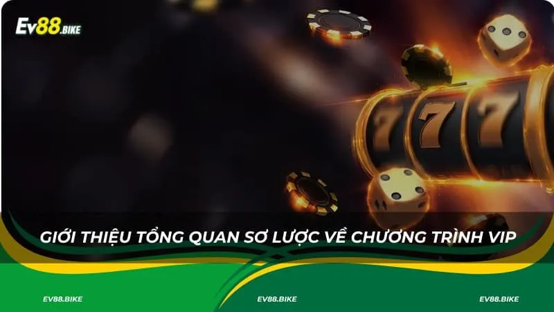 Giới thiệu tổng quan sơ lược về chương trình VIP