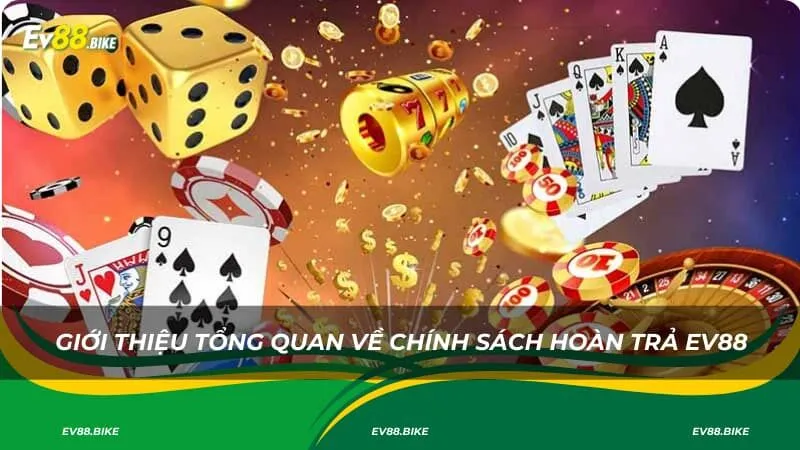 Giới thiệu tổng quan về chính sách hoàn trả EV88