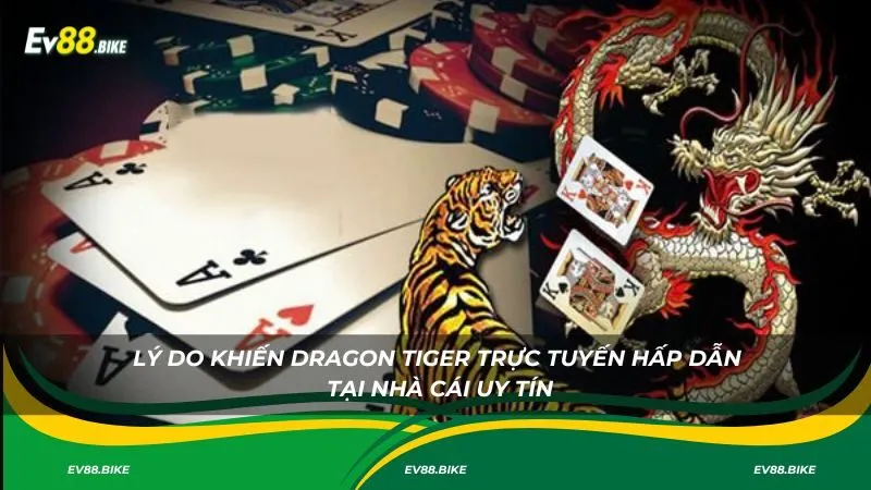 Lý do khiến dragon tiger trực tuyến hấp dẫn tại nhà cái uy tín