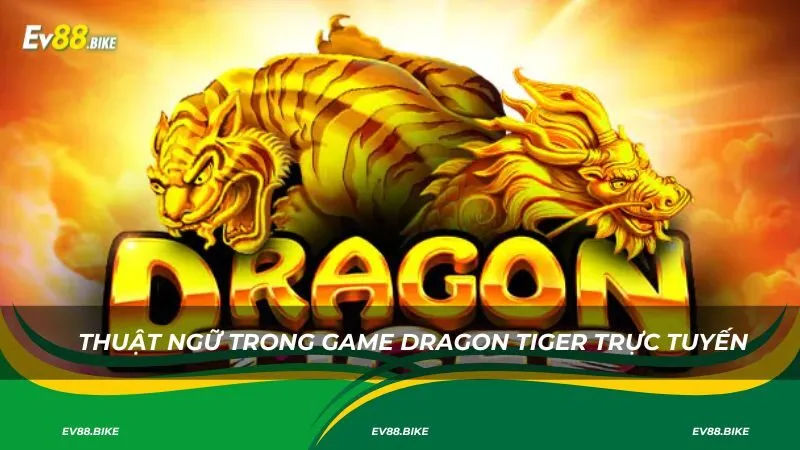 Thuật ngữ trong game dragon tiger trực tuyến