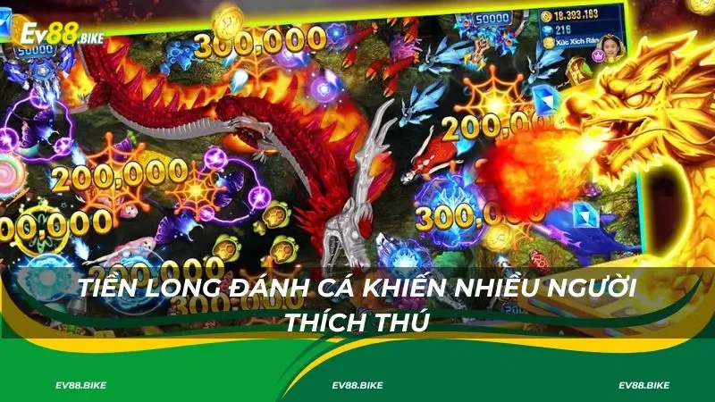 Tiền Long Đánh Cá khiến nhiều người thích thú